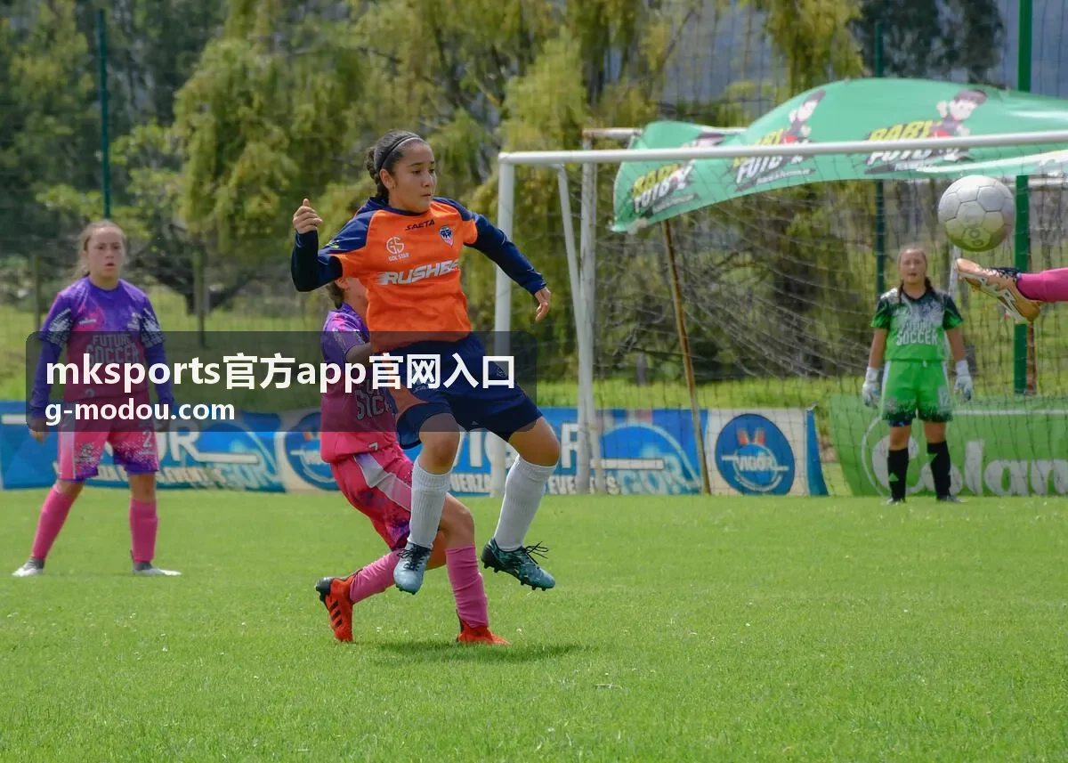 mksports官方app安装包安全校验机制增强