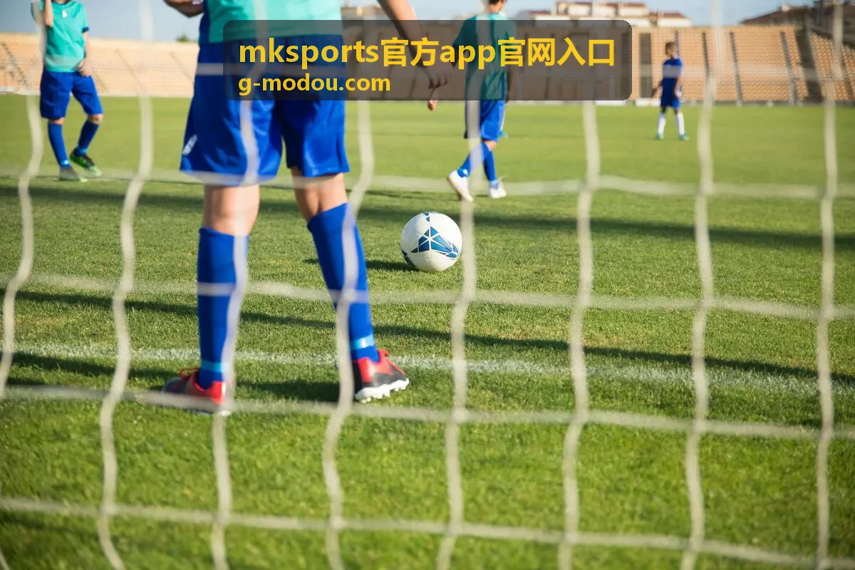 mksports官方app账号同步与数据迁移